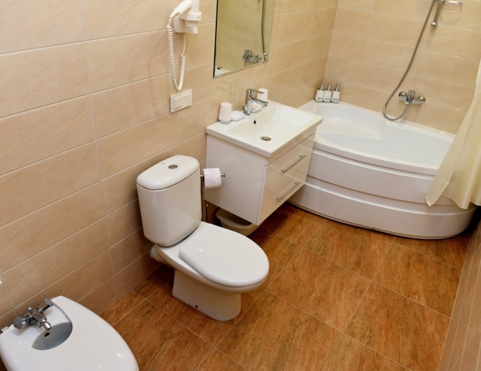 Люкс 2-местный Супер-Люкс - Санаторий «Лесная Новь» Нижнеивкино